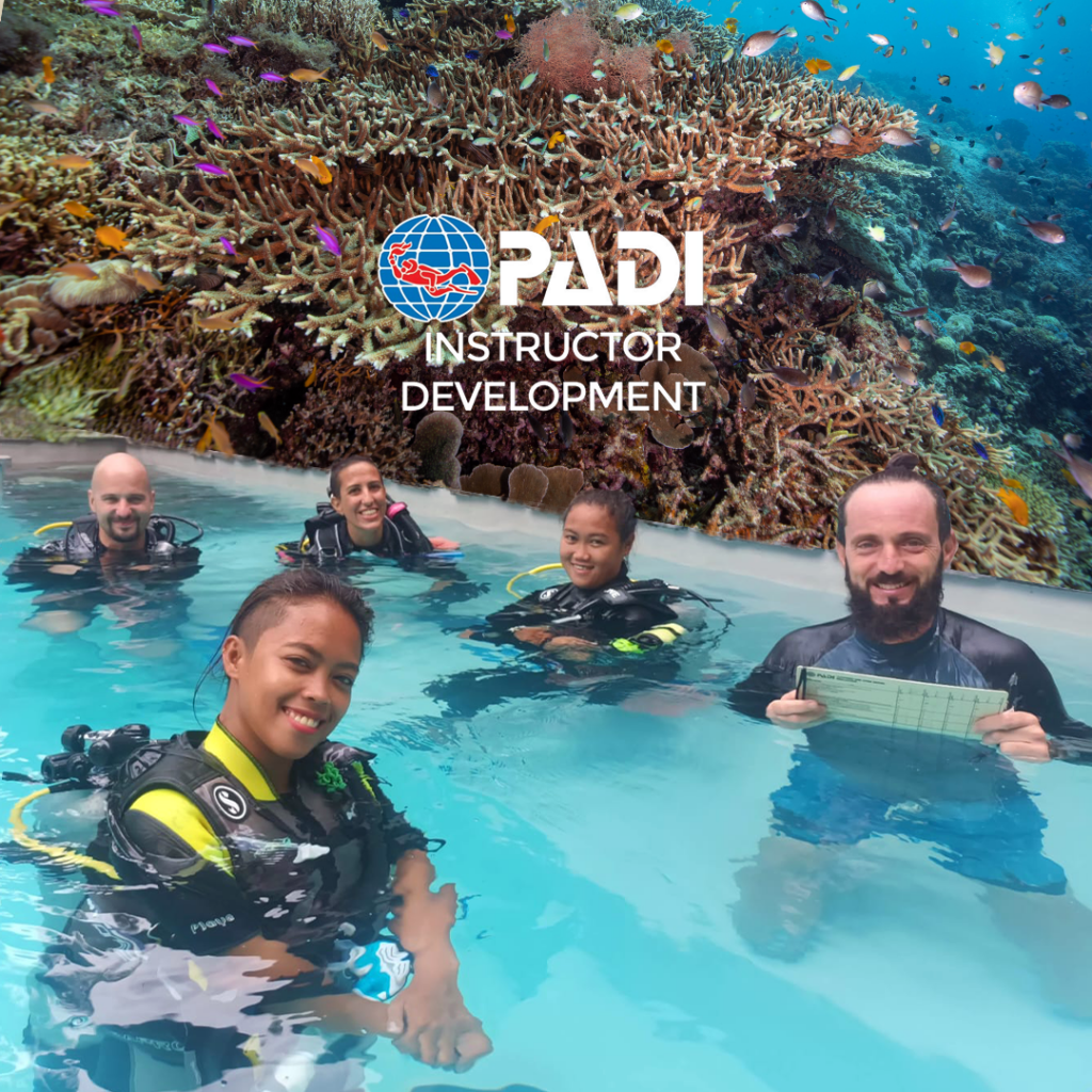 PADI instructor development Panglao