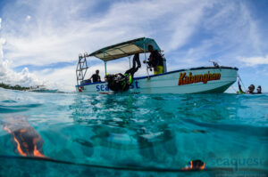 Dive sites panglao