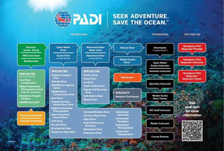 PADI dive courses