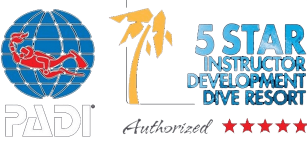 padi 5* instructor development resort